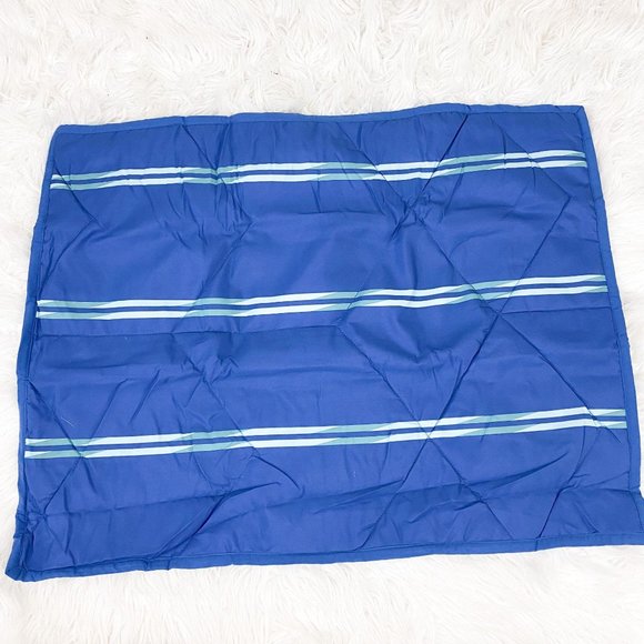 Pottery Barn Teen Terrain Blue Microfiber Sham SET - Picture 3 of 3